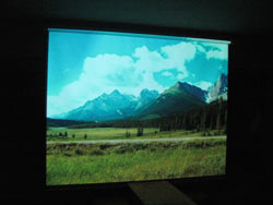 Projector Screen